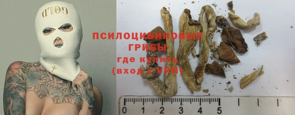 дживик Покачи