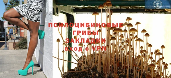 хмурый Покровск