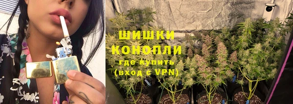 дживик Покачи