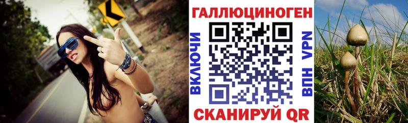 блэк спрут ССЫЛКА  Котово  Галлюциногенные грибы мухоморы 